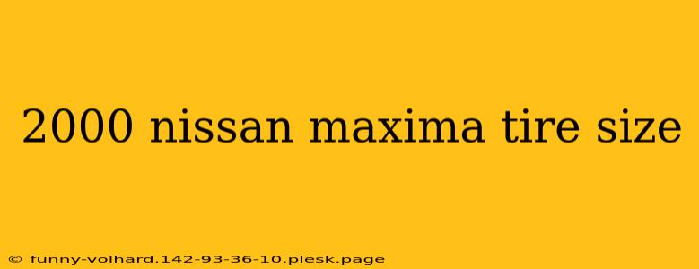 2000 nissan maxima tire size