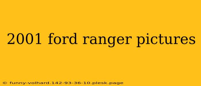 2001 ford ranger pictures