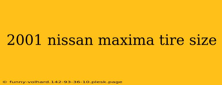 2001 nissan maxima tire size