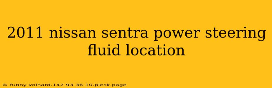 2011 nissan sentra power steering fluid location