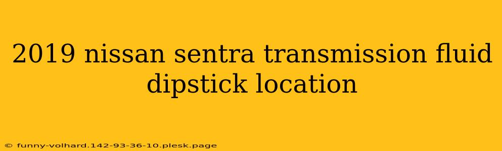 2019 nissan sentra transmission fluid dipstick location