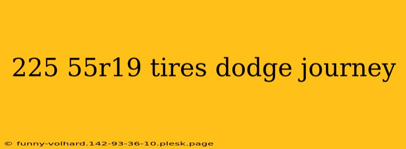 225 55r19 tires dodge journey