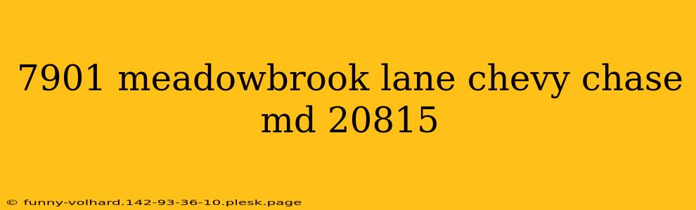 7901 meadowbrook lane chevy chase md 20815