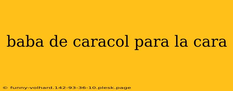 baba de caracol para la cara