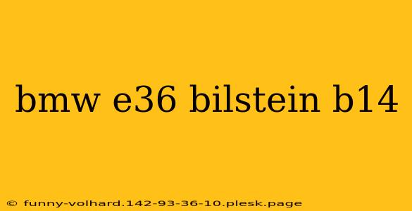 bmw e36 bilstein b14