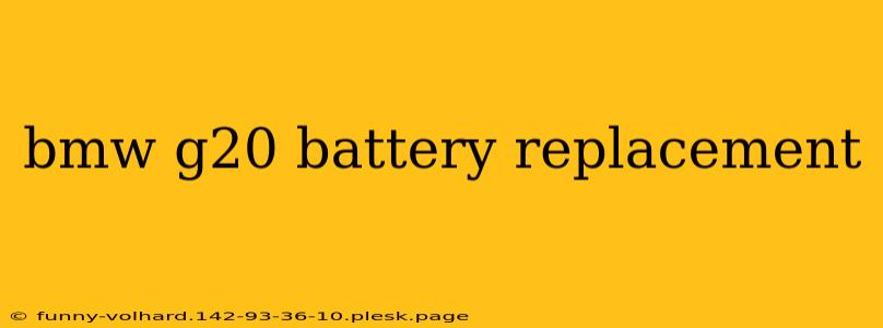 bmw g20 battery replacement