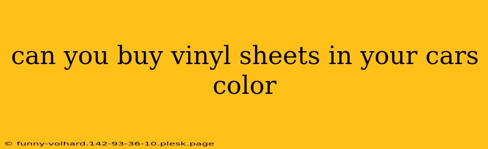 can you buy vinyl sheets in your cars color