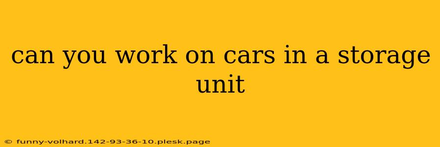 can you work on cars in a storage unit