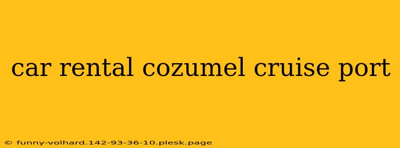 car rental cozumel cruise port