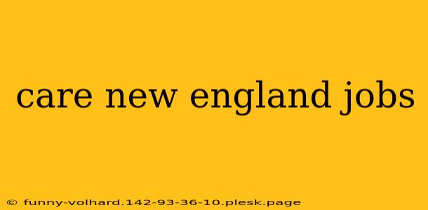 care new england jobs