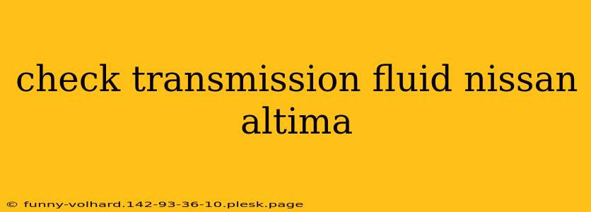 check transmission fluid nissan altima