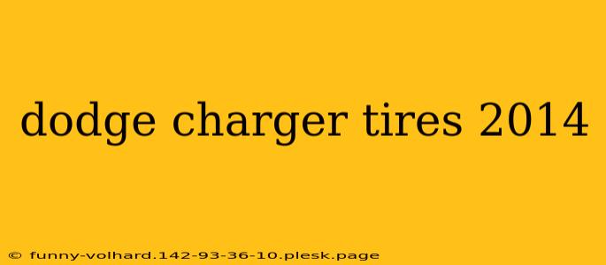 dodge charger tires 2014