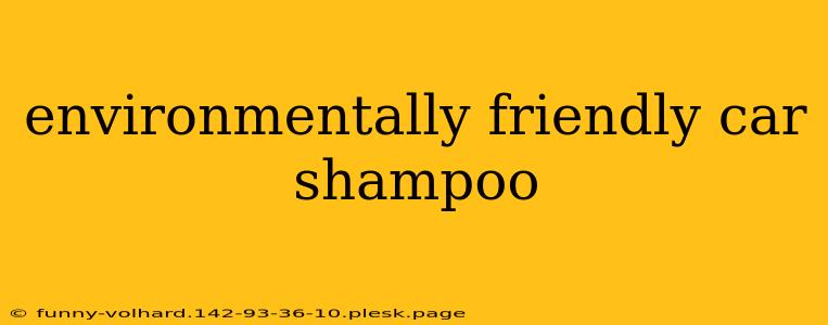 environmentally friendly car shampoo