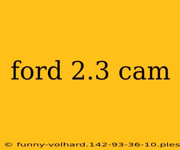 ford 2.3 cam