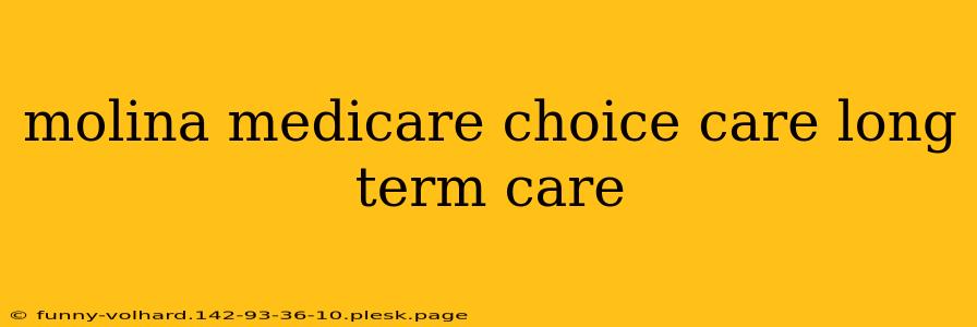 molina medicare choice care long term care