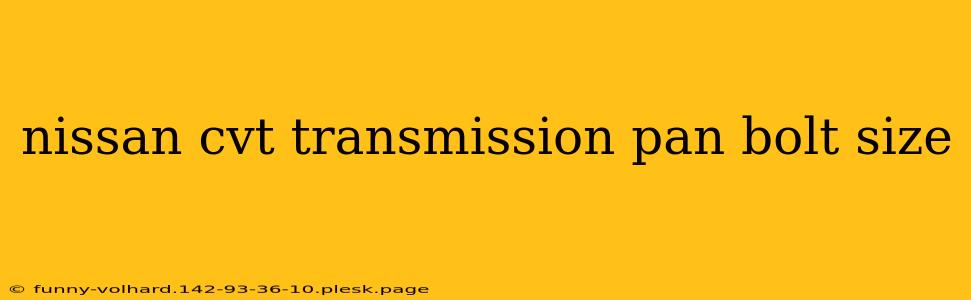 nissan cvt transmission pan bolt size