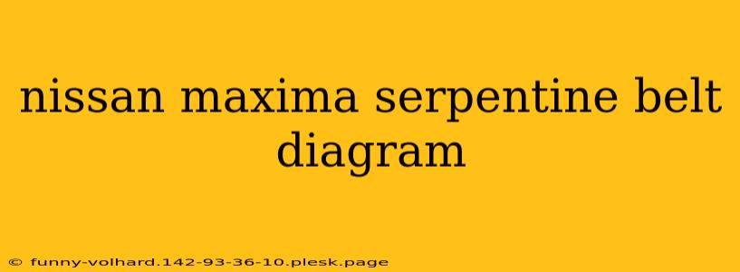 nissan maxima serpentine belt diagram