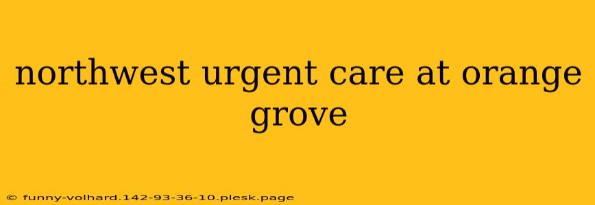 northwest urgent care at orange grove