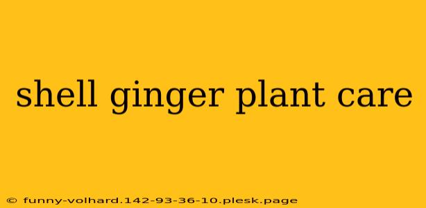 shell ginger plant care