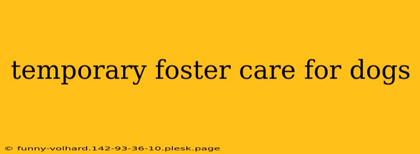 temporary foster care for dogs