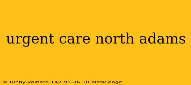 urgent care north adams