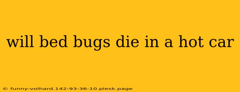 will bed bugs die in a hot car